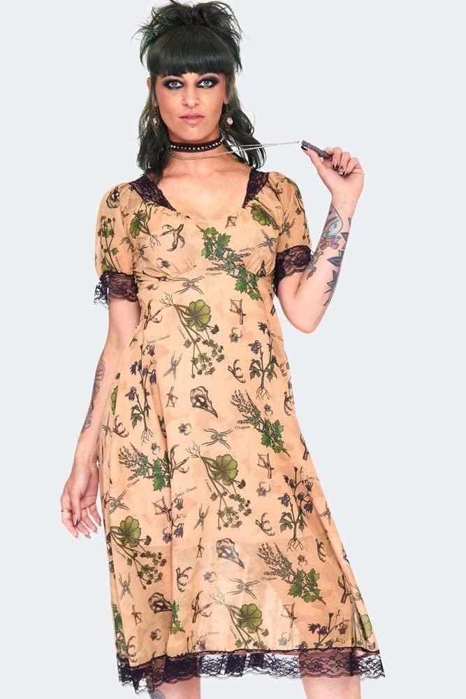 Apothecary Print Midi Dress