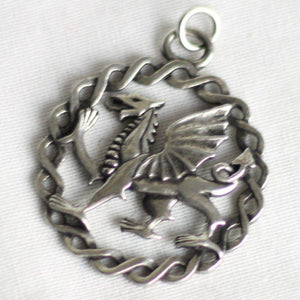 Asgard Welsh Dragon Celtic Pendant-Asgard-Dark Fashion Clothing